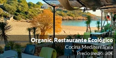 Organic, Restaurante Ecológico